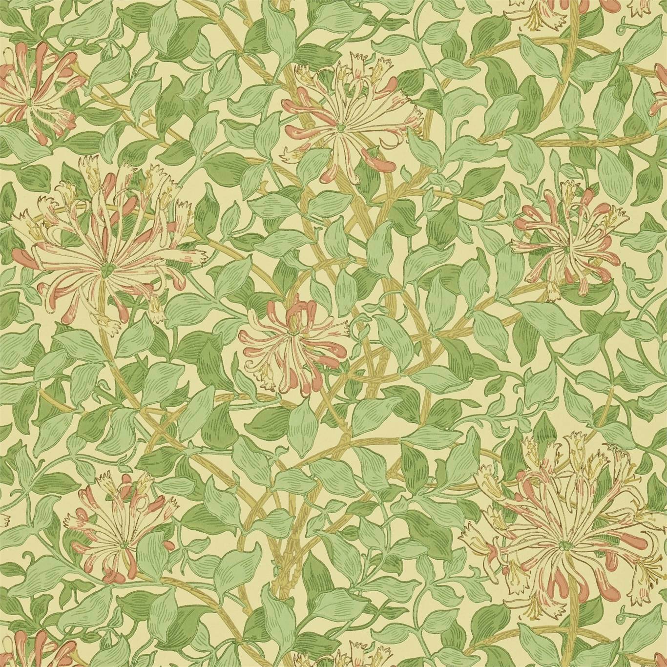Green Honeysuckle