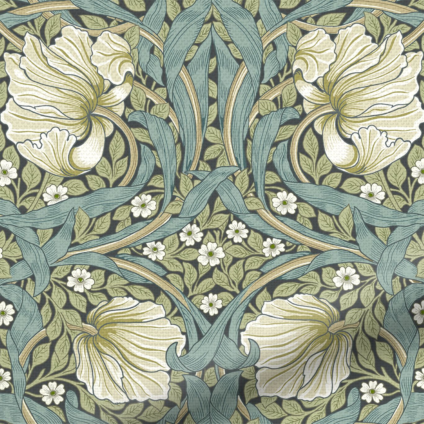 Pimpernel